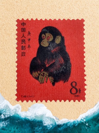 買取品目
